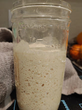 Load image into Gallery viewer, Victory Flour Sourdough Starter Kit