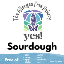 Load image into Gallery viewer, Gluten Free Sourdough Sandwich Loaf